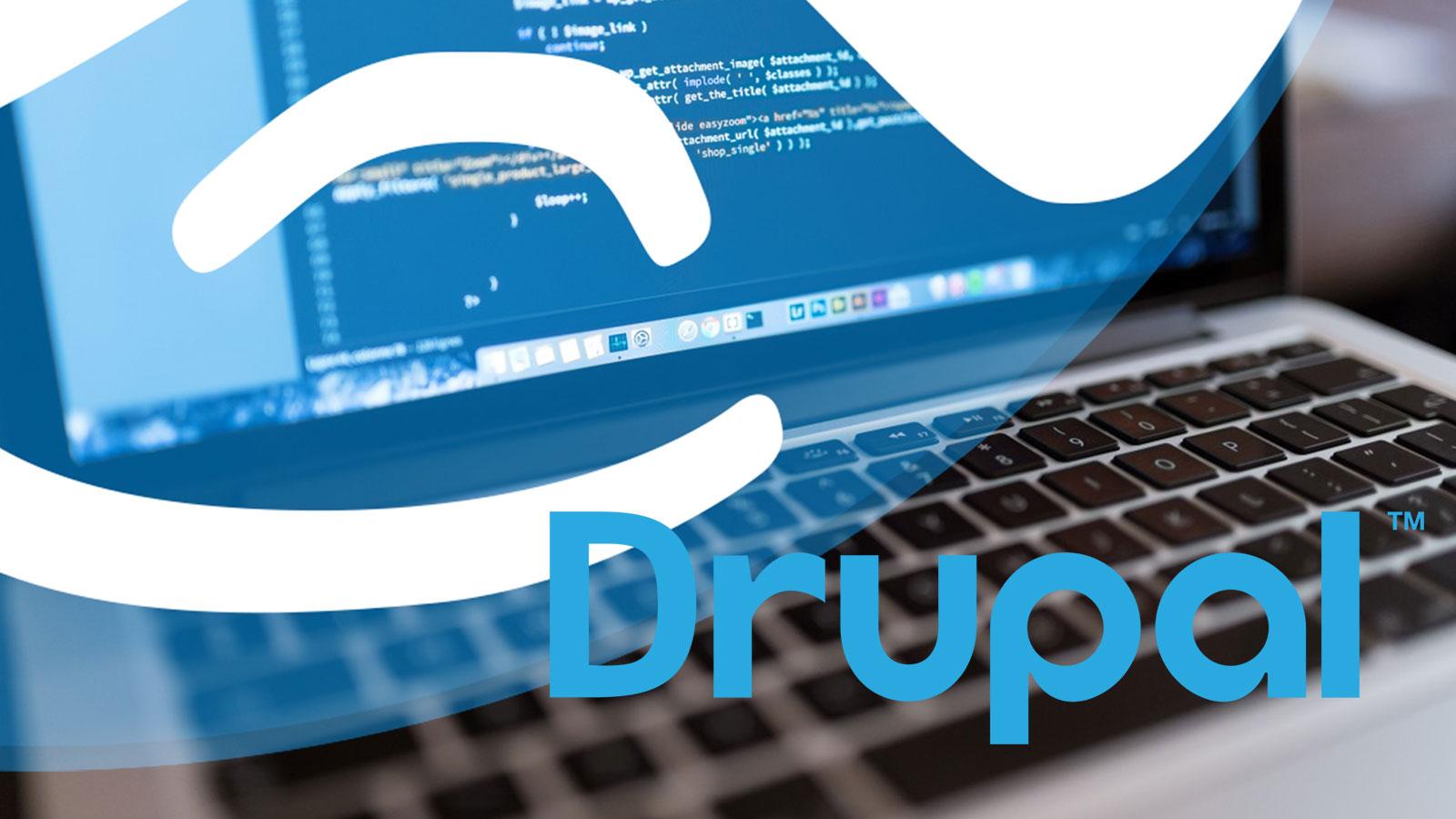 Drupal Developer